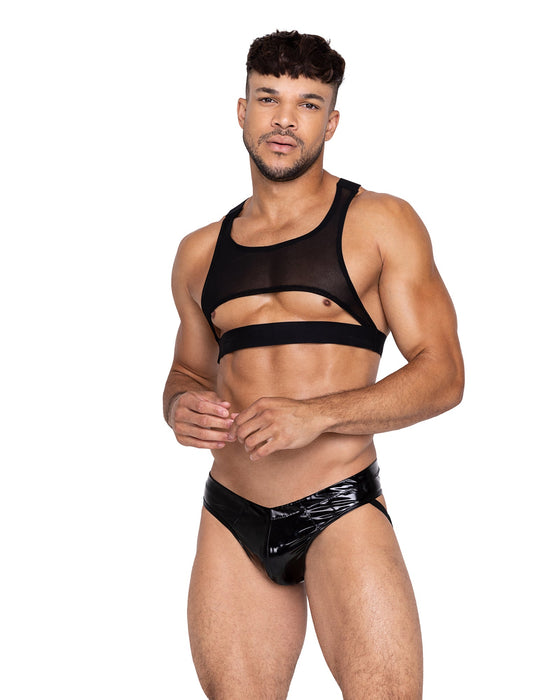 LI670 - Voyeur Harness