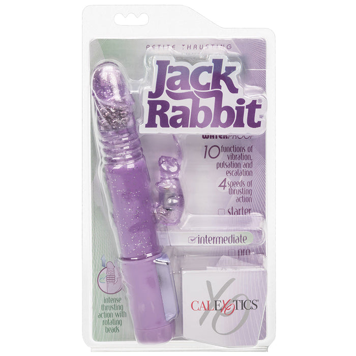 Petite Thrusting Jack Rabbit - Purple